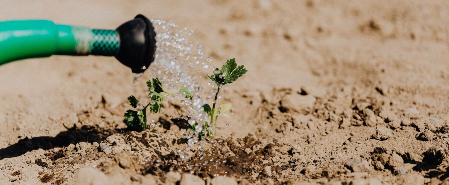 LKU-kredito-unija-lengvatiniai-kreditai-nukentėjusiems-nuo-nepalankių-klimato-reiškinių-žemės-ūkio-paskolų-garantijų-fondas-kredito-unija-lengvatinis-paskola